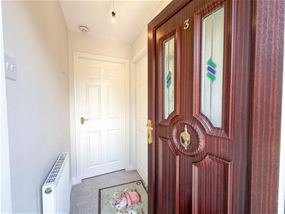 Picture 27